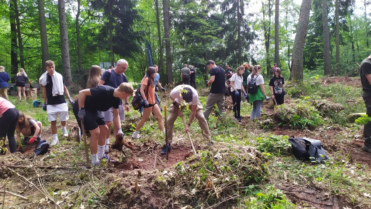 Nowa Ruda. Sadzili las im. Jana Pawła II w Słupcu - galeria