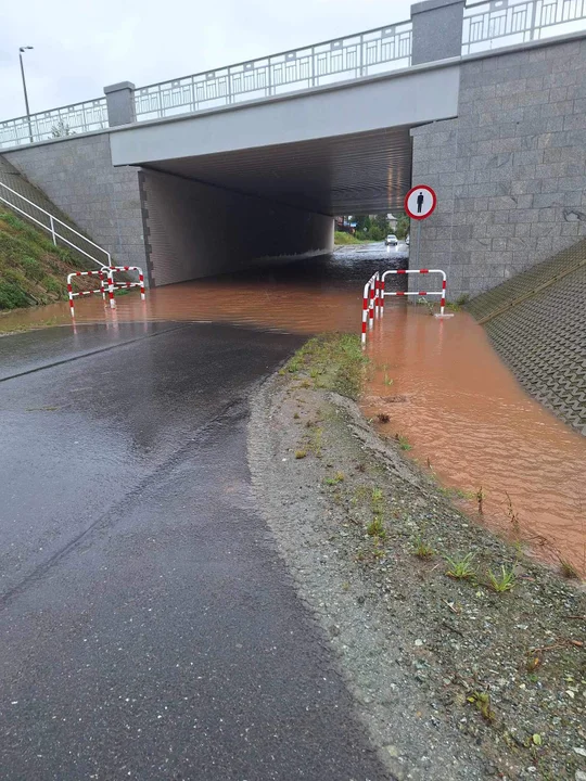 Ścinawka Średnia. Biedronka pod wodą [zdjęcia]