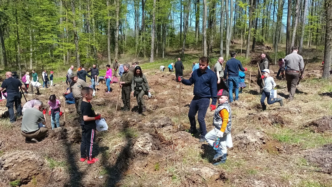 Nadleśnictwo Jugów. Posadzili las im. Jana Pawła II