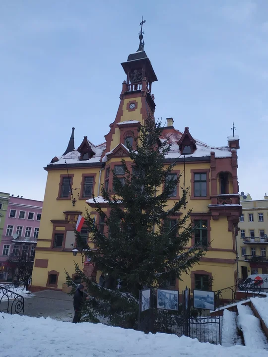 Chyba najwyższa w historii choinka stanęła na noworudzkim Rynku