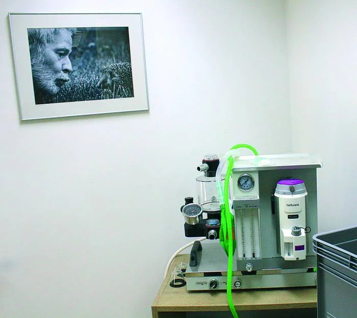 Kłodzko. Cztery gwiazdki dla jeży