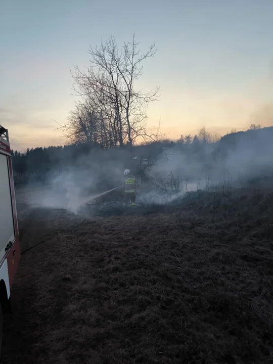 Pożary traw w powiecie kłodzkim. Alarmująca sytuacja [galeria]