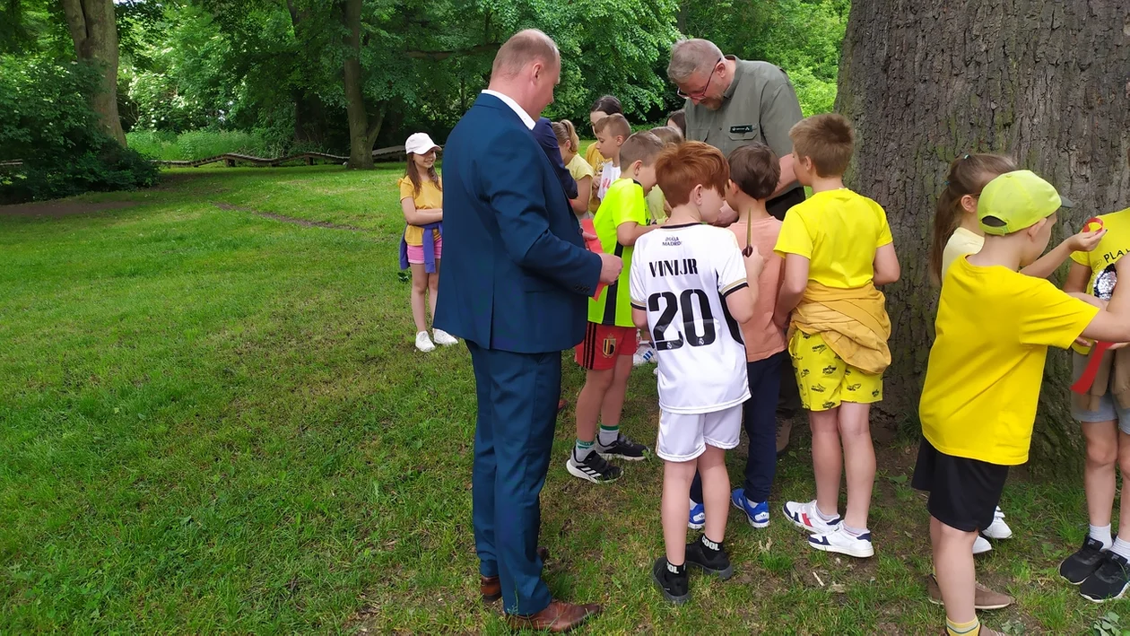 Nowa Ruda. Antoni, Tadeusz, Jan i Józef, to imiona czterech nowych pomników przyrody w Słupcu [galeria]