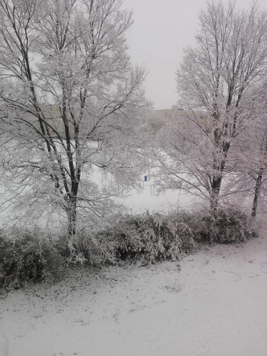 Biało za oknem. Pierwszy śnieg w obiektywie naszych czytelników