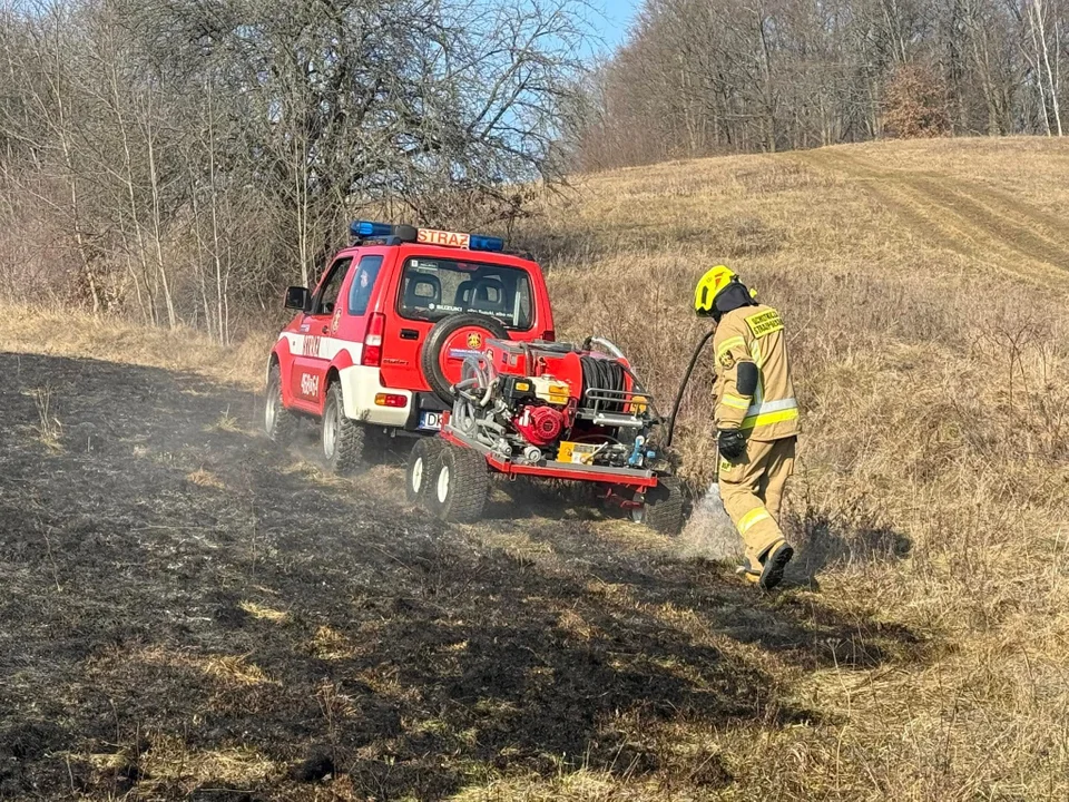 Powiat kłodzki. Początek lutego a już płonie sucha trawa [galeria]