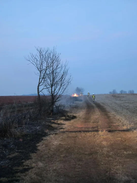 Pożary traw w powiecie kłodzkim. Alarmująca sytuacja [galeria]