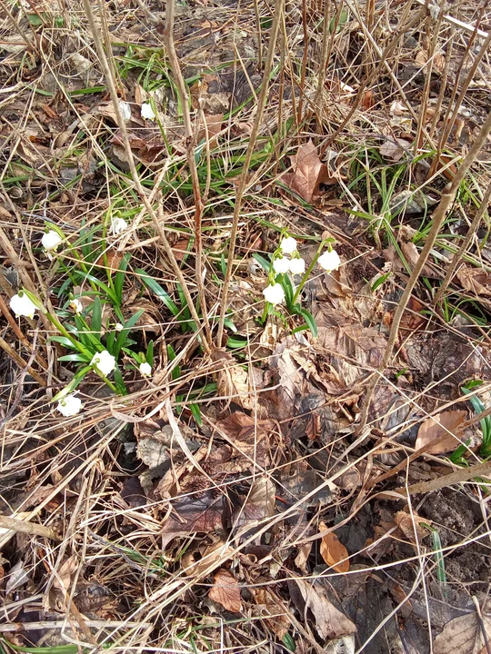 Nowa Ruda i okolice w obiektywie naszych czytelników