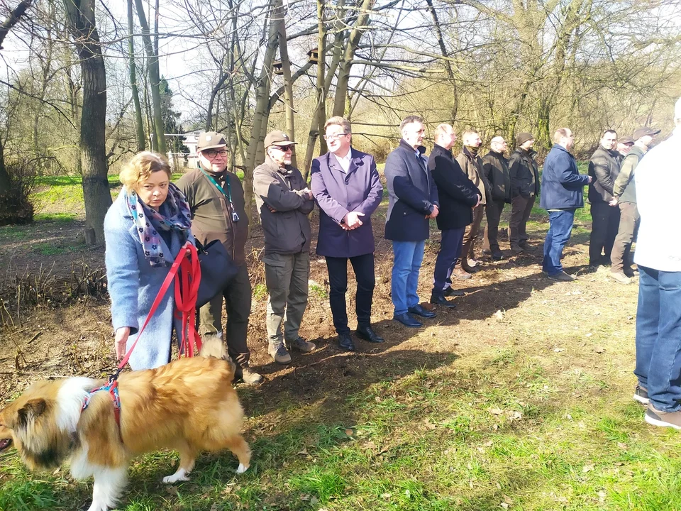 Nowa Ruda. Potomek dębu "Chrobry" rośnie już w parku w Słupcu [zdjęcia]