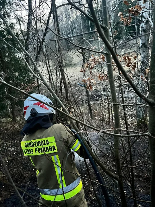 Pożary traw w powiecie kłodzkim. Alarmująca sytuacja [galeria]