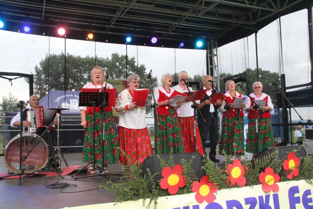 Wojewódzki Festiwal Zespołów Artystycznych w Stolcu