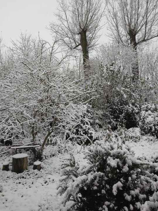 Biało za oknem. Pierwszy śnieg w obiektywie naszych czytelników