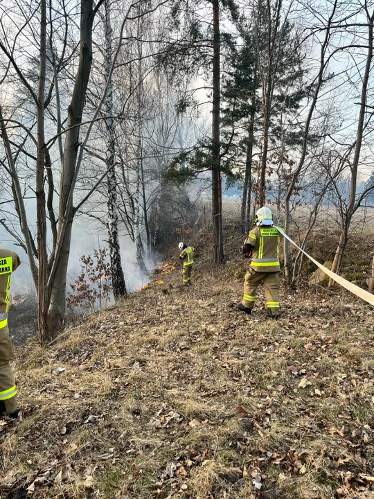 Pożary traw w powiecie kłodzkim. Alarmująca sytuacja [galeria]