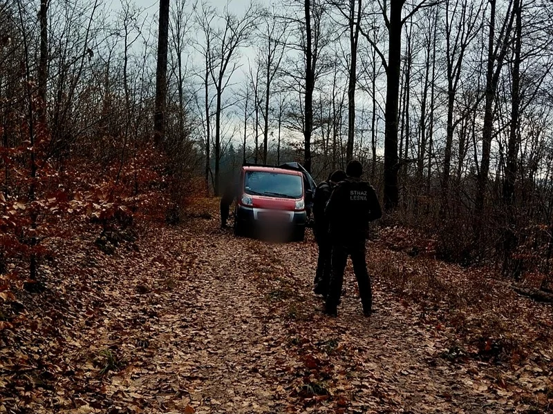 Nie kupuj choinki, zanim tego nie sprawdzisz – może Cię kosztować więcej niż myślisz!