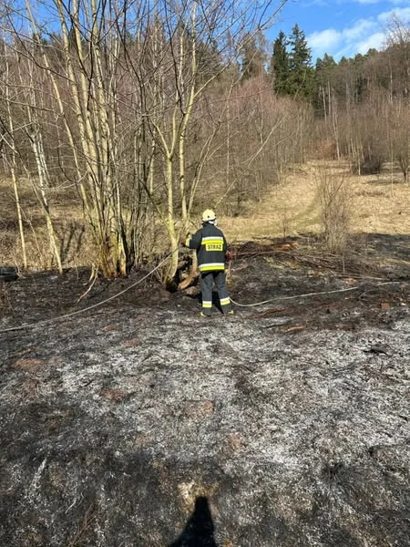 Pożary traw w powiecie kłodzkim. Alarmująca sytuacja [galeria]