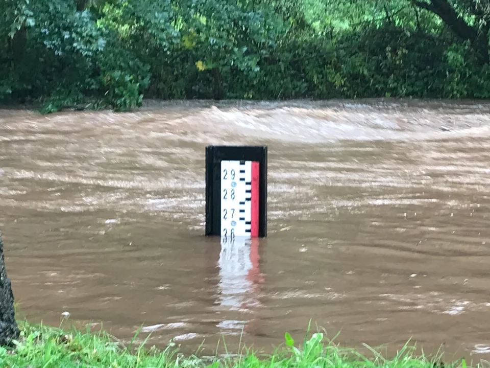 Sytuacja na rzekach i potokach w Gminie Radków [zdjęcia] - Zdjęcie główne