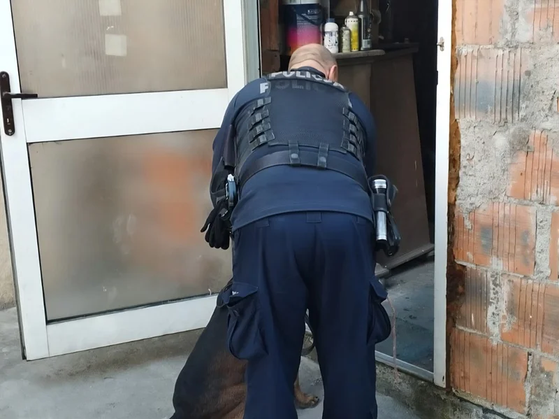 Od kontroli drogowej do poważnych zarzutów. Narkotyki, amunicja i areszt