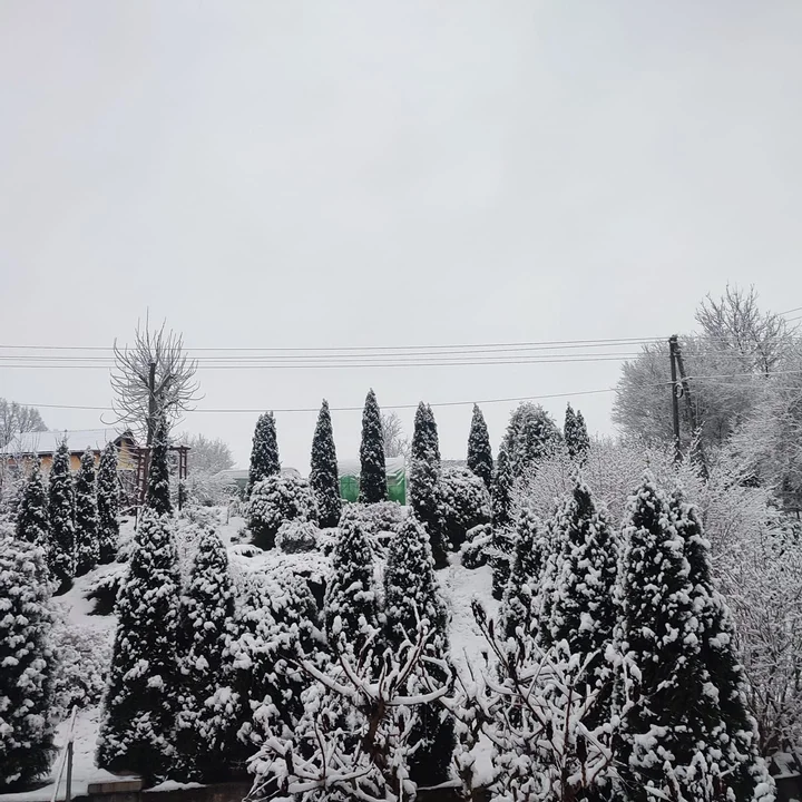 Biało za oknem. Pierwszy śnieg w obiektywie naszych czytelników