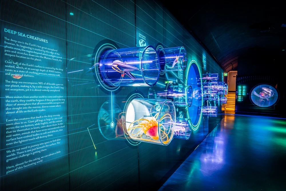 Zanurz się w morskie głębiny w Hydropolis