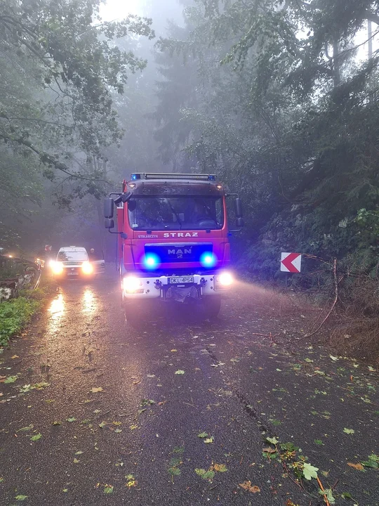 Od rana wzrasta poziom Ścinawki i Włodzicy