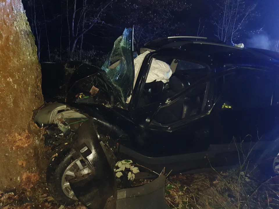 Gmina Nowa Ruda. Przygórze - samochód, którym podróżowało 8 osób uderzył w drzewo