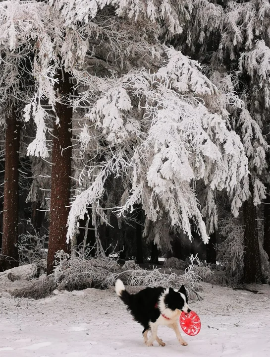 Powiat Kłodzki. Zima okiem naszych czytelników