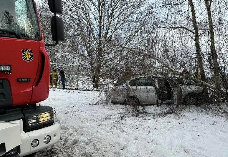 Bożków. 37-latek nie zapanował nad pojazdem i wjechał  w drzewo - Zdjęcie główne