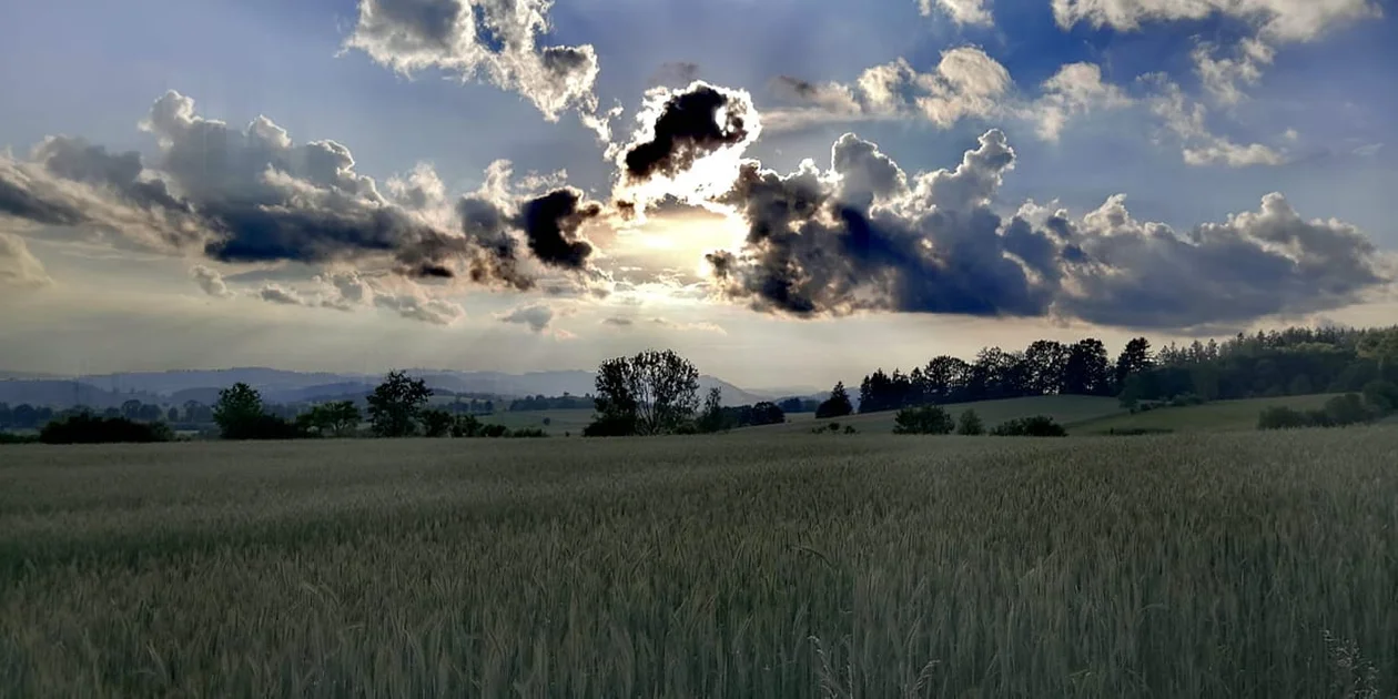 Wiosna w obiektywie naszych czytelników [galeria]