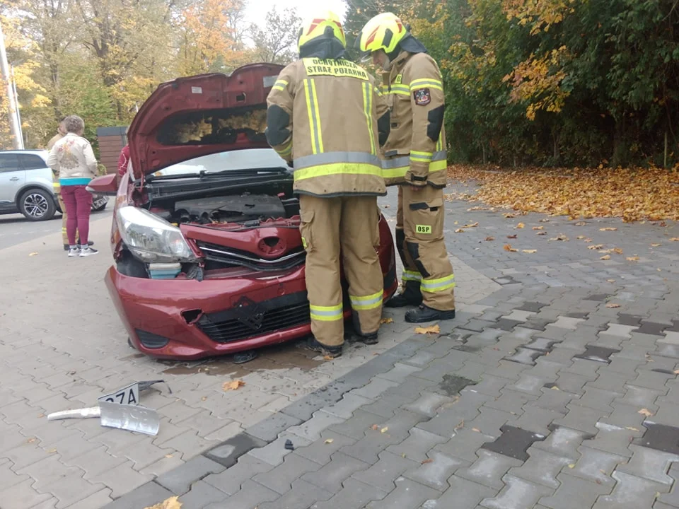 Kudowa-Zdrój. Uderzyła w parkomat na parkingu przy Al. Jana Pawła II - Zdjęcie główne