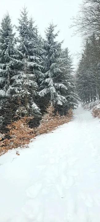 Nowa Ruda. Zima w obiektywie naszych czytelników