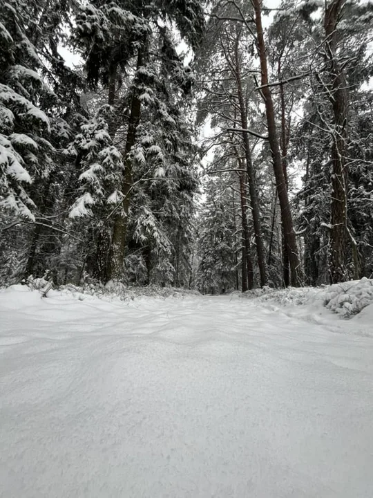 Biało za oknem. Pierwszy śnieg w obiektywie naszych czytelników