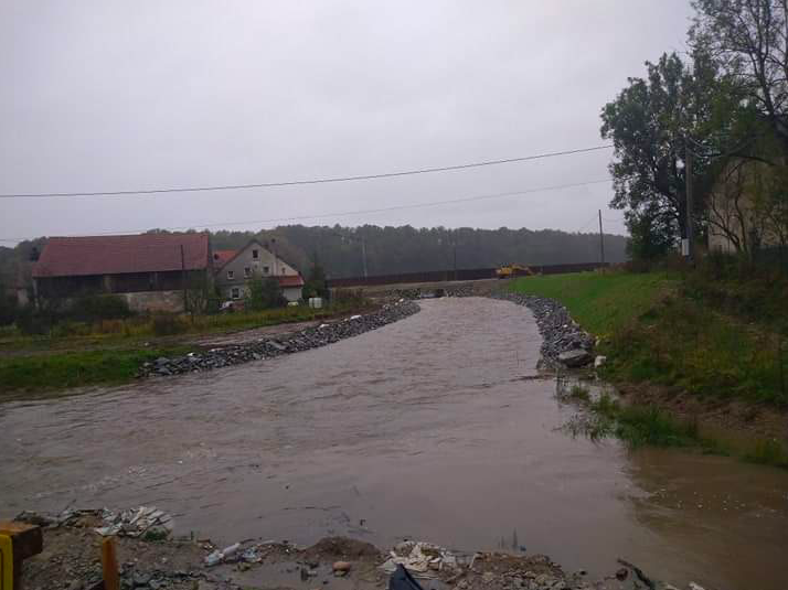 Szalejów Dol.