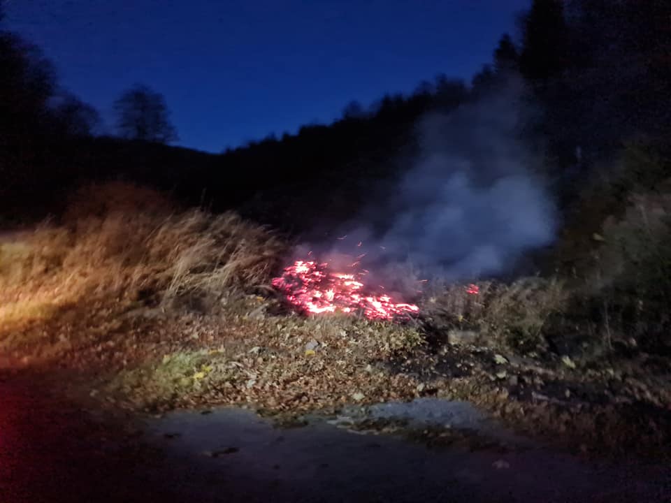 Podpalenie na terenie leśnictwa Śnieżnik - Zdjęcie główne