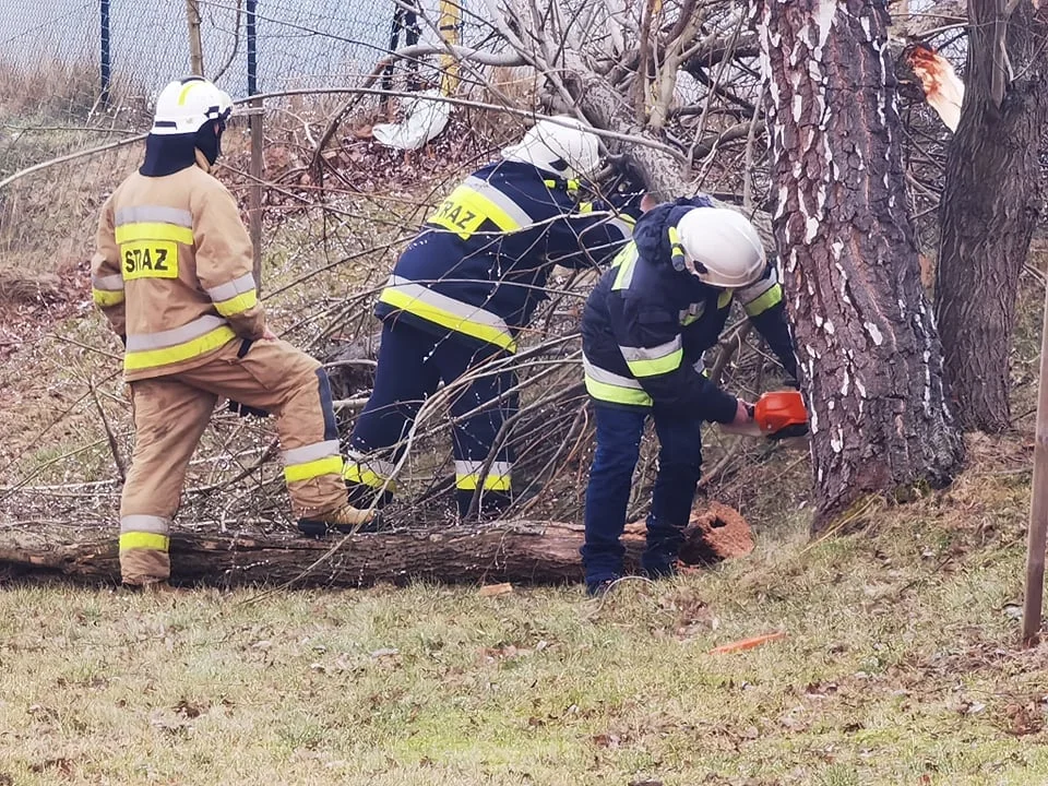 Ponad 70 interwencji strażaków w związku z wichurami - Zdjęcie główne