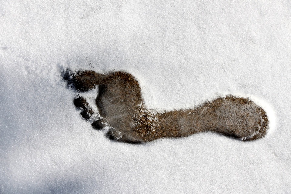 Znaleźli kobietę leżącą na mrozie - Zdjęcie główne