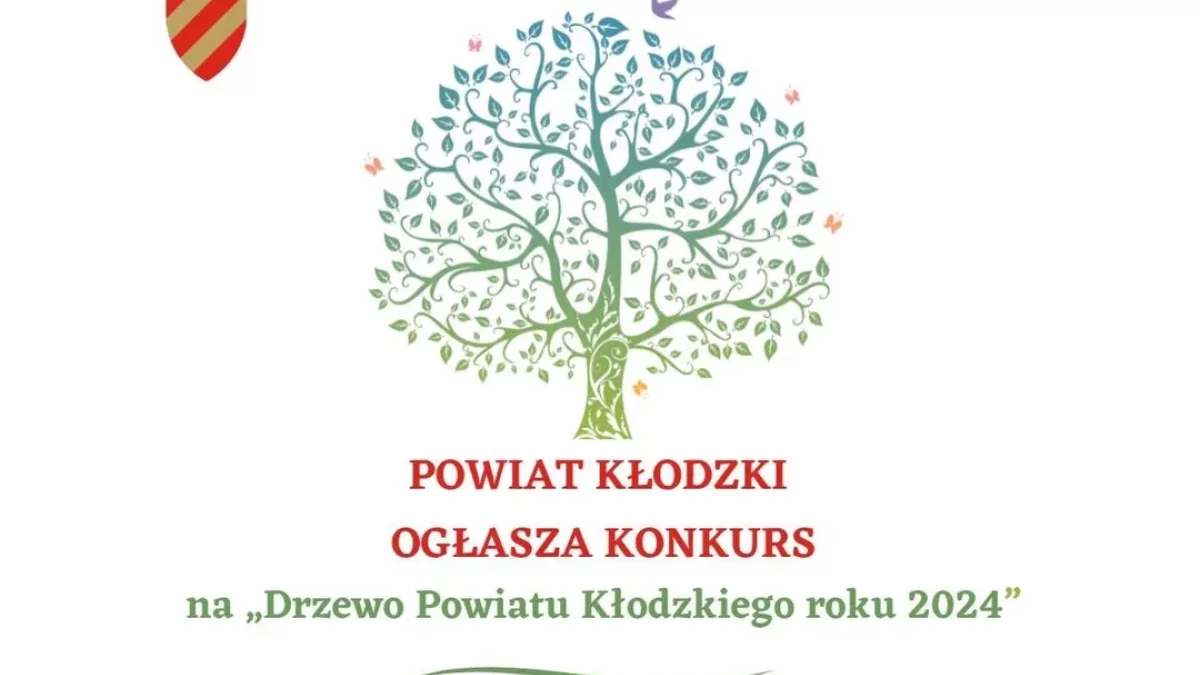 Ruszyła druga edycja konkursu "Drzewo Powiatu Kłodzkiego" - Zdjęcie główne