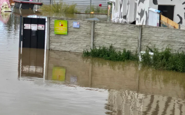 Kłodzko. Zwierzęta wypuszczone ze schroniska podczas zalania wracają - Zdjęcie główne