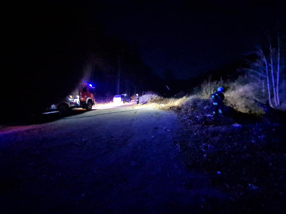 Od tragedii las uratował potok, który nie pozwolił żeby ogień przedostał się na uprawę leśną