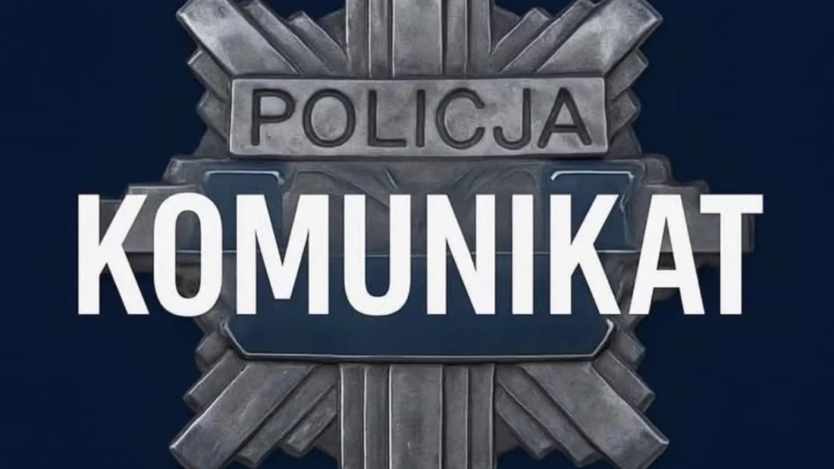 Przerażające nagranie w sieci. Kłodzka policja wydała komunikat