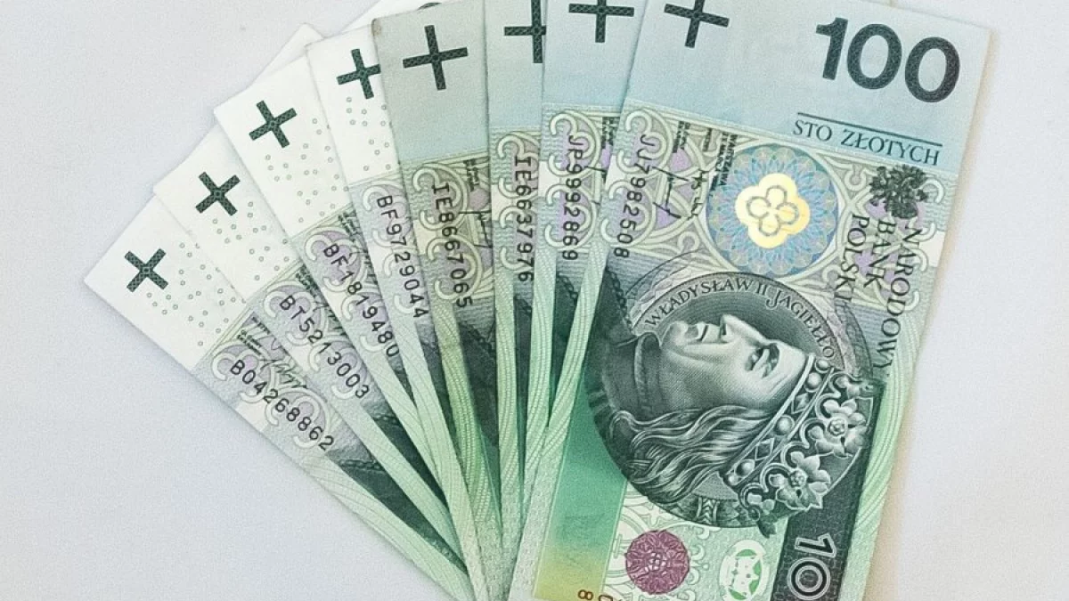 ZUS przypomina rodzicom nowym wniosku o 800+