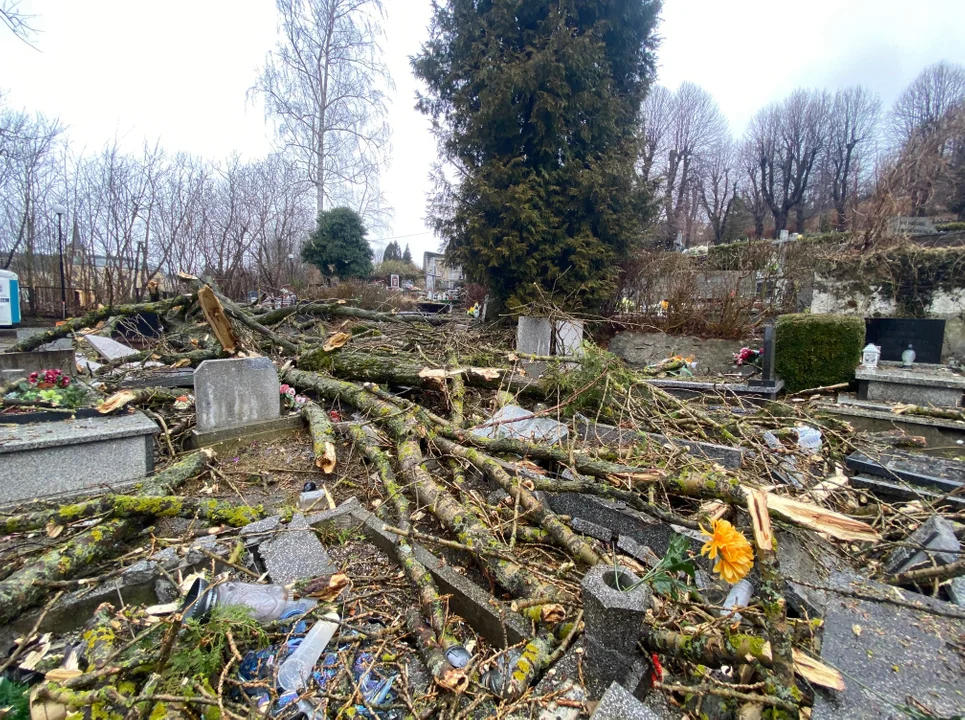 Duszniki-Zdrój: Na groby przewróciło się drzewo [ZDJĘCIA] - Zdjęcie główne