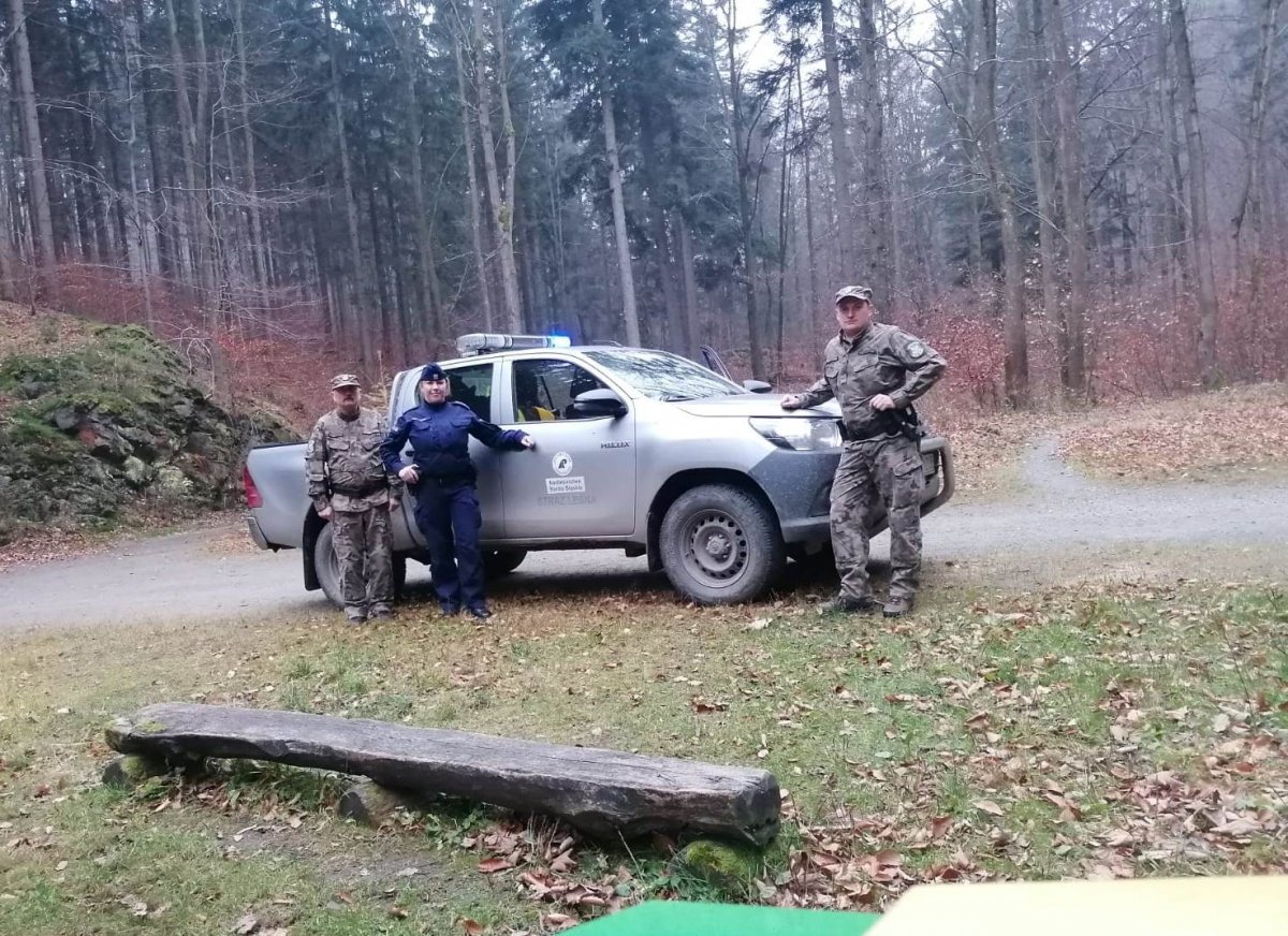 Powiat Kłodzki. W naszych lasach są kłusownicy?  - Zdjęcie główne