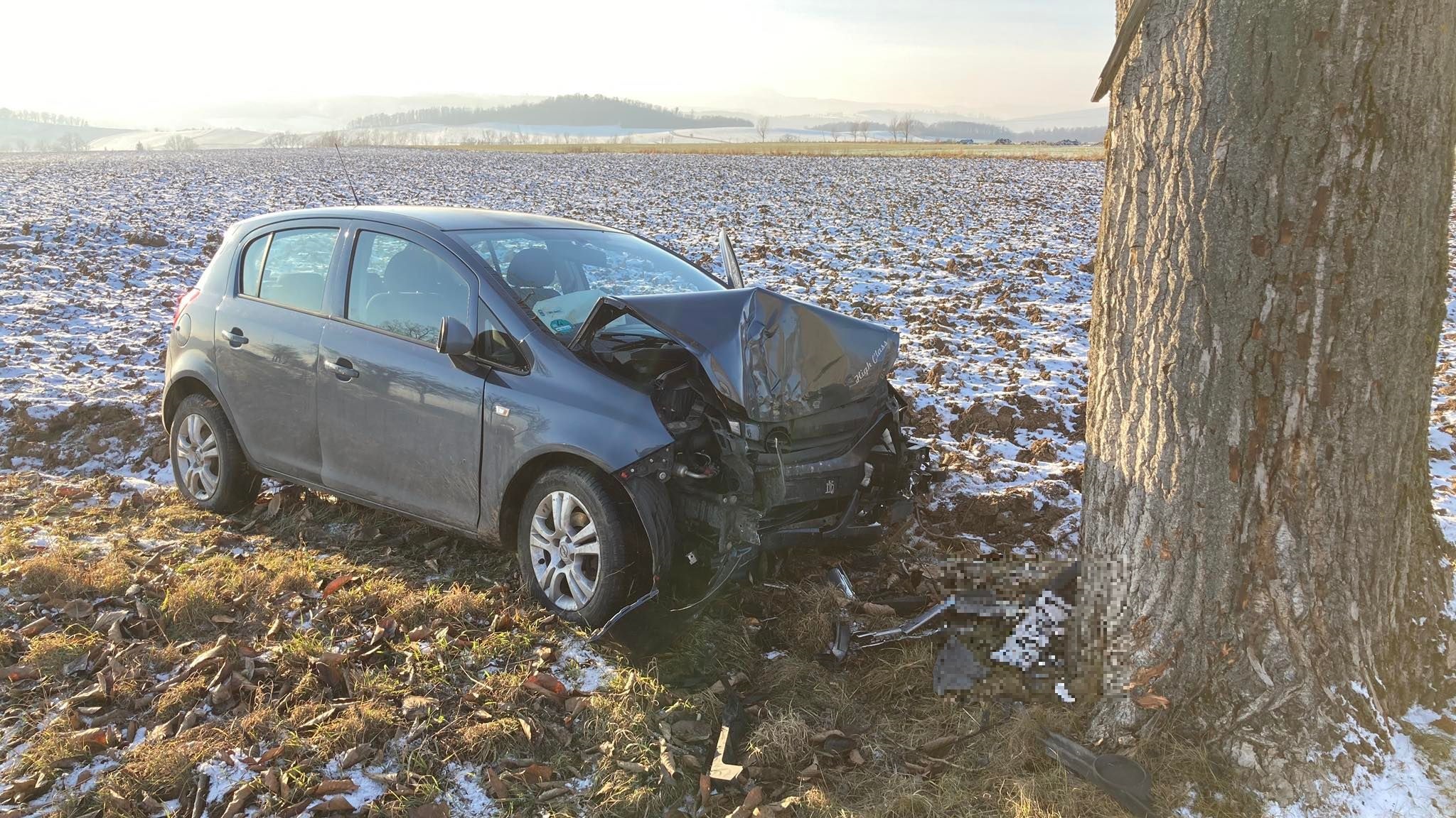 Gmina Kłodzko. Opel wylądował na drzewie - Zdjęcie główne