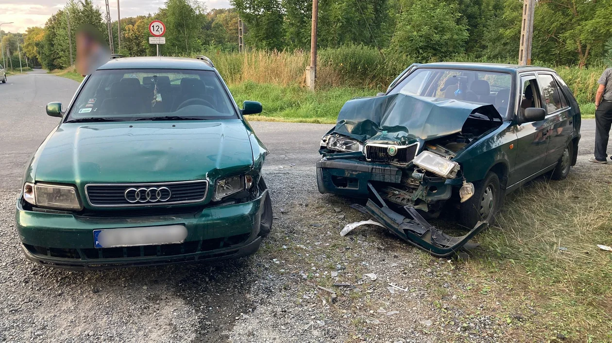 Szalejów Dolny. Dwie osoby zostały zabrane do szpitala [aktualizacja] - Zdjęcie główne