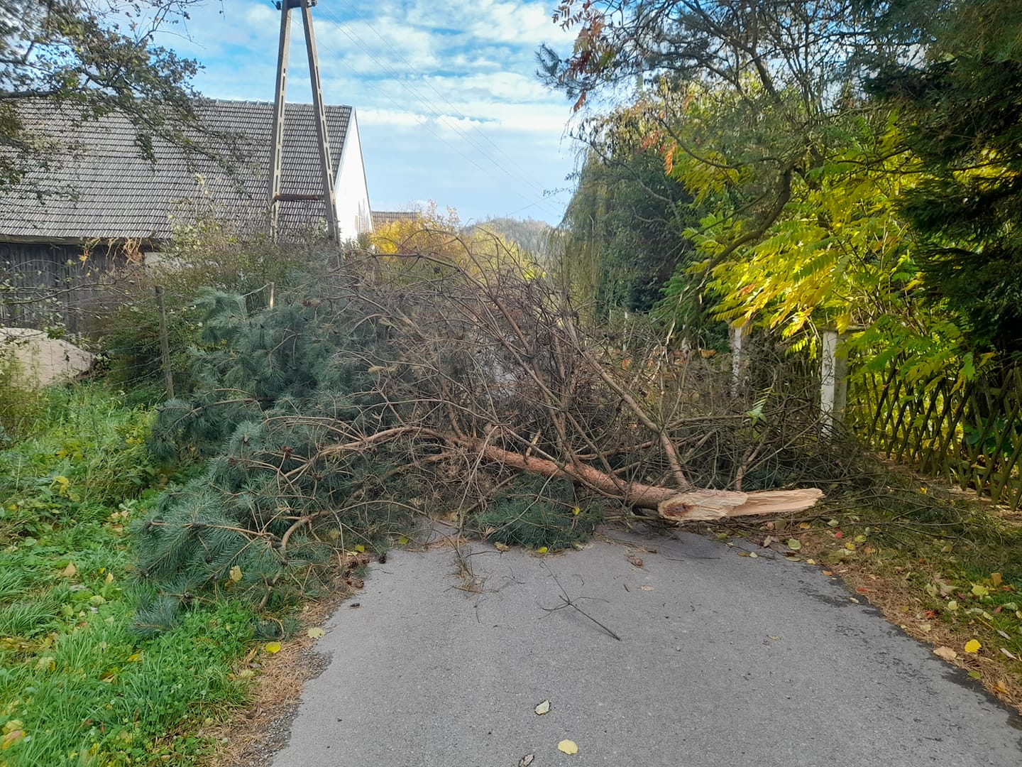 Potężne wichury na powiatem kłodzkim. Zobacz zniszczenia - Zdjęcie główne