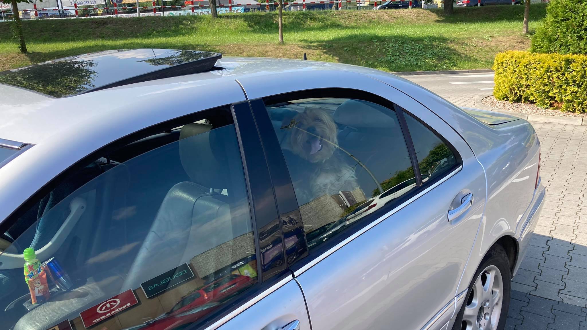 Kłodzko: Zostawili psa w samochodzie i poszli na zakupy - Zdjęcie główne