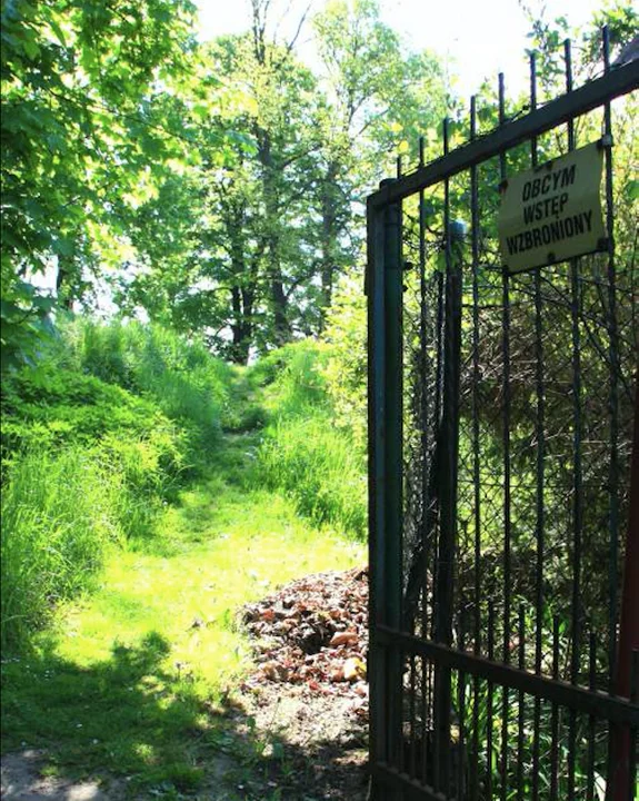 Kłodzko. Czy w Rodzinnych Ogrodach działkowych Jedność źle się dzieje? - Zdjęcie główne