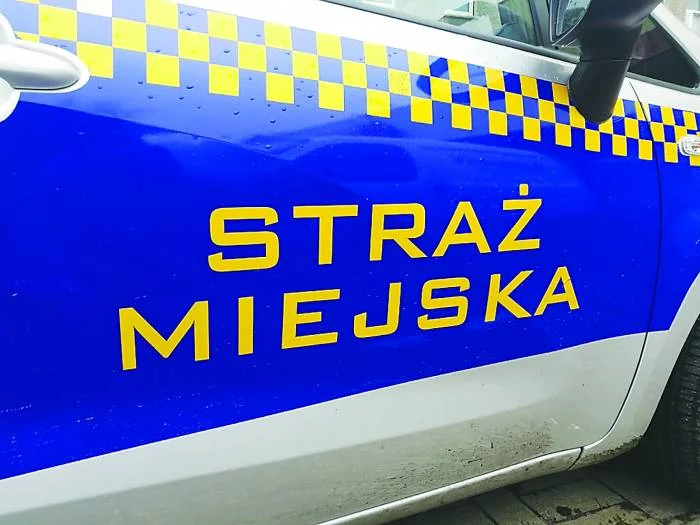 Stronie Śląskie. Ewa Danek nowym komendantem Straży Miejskiej - Zdjęcie główne