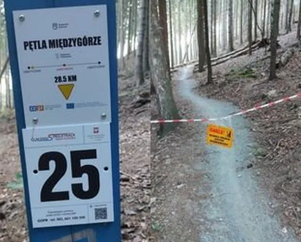 Pętla Międzygórze. Utrudnienia na trasie singletrack - Zdjęcie główne