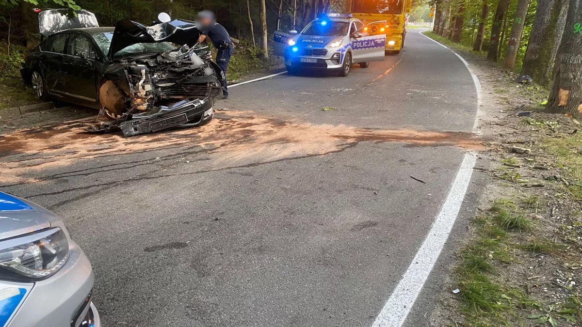 Kierująca citroenem uderzyła w drzewo. Dwie osoby trafiły do szpitala - Zdjęcie główne