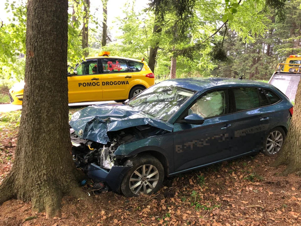 Gmina Międzylesie. Wjechała w drzewo w Lesicy. 37-latka trafiła do szpitala - Zdjęcie główne